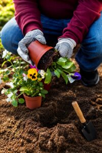 Grow a Garden Trading