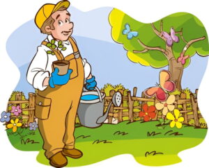 nectarine seed grow a garden